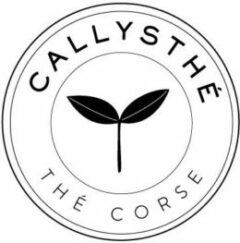 logo de Callysthé