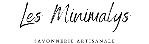 logo Les minimalys