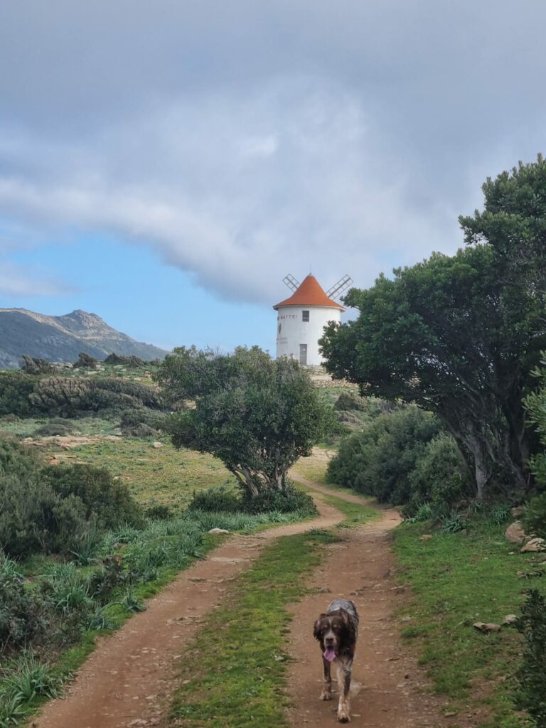 promenade au moulin mattei - Cap Corse