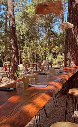 table sous les arbres au restaurant Le hupama -Proto vecchio