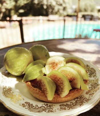 tarte aux figues - restaurant ferme u san martinu - sisco