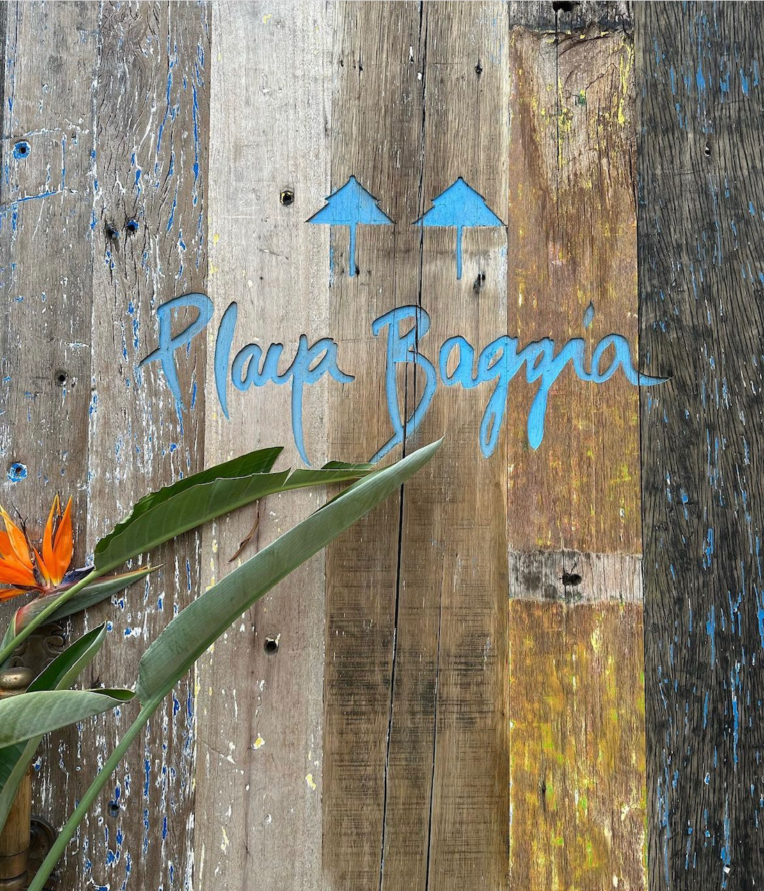 logo du restaurant playa baggia à porto vecchio